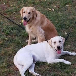 Meet your Posher, Barbara